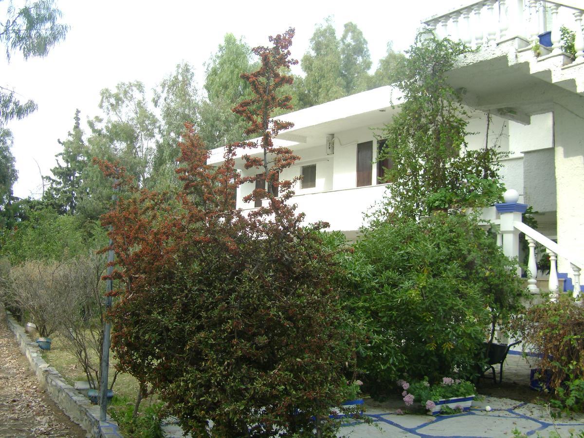 Villa Zoi Thronion Dış mekan fotoğraf