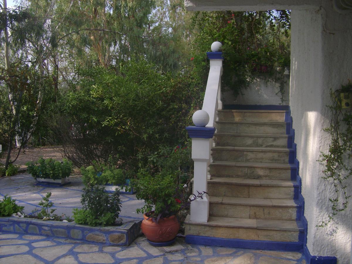 Villa Zoi Thronion Dış mekan fotoğraf