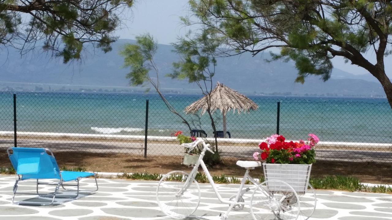 Villa Zoi Thronion Dış mekan fotoğraf